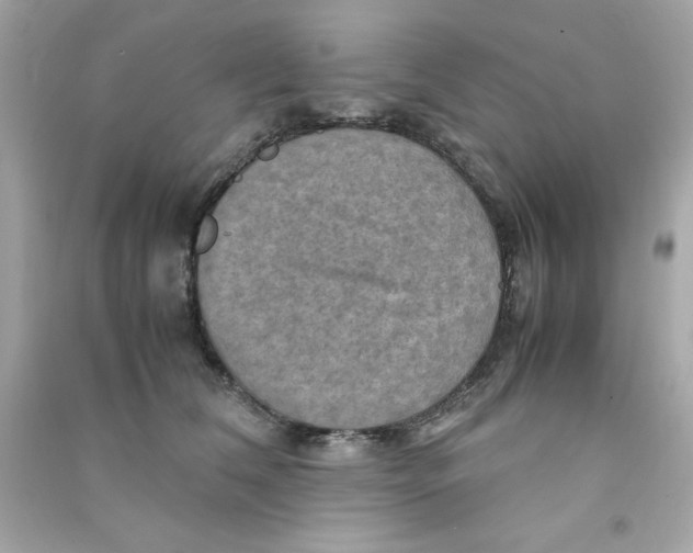 X0000090490612200708102220