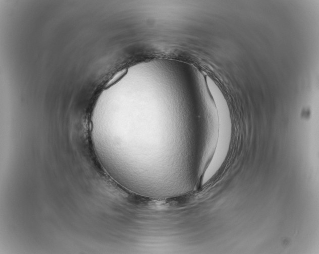 X0000090490613200708102220