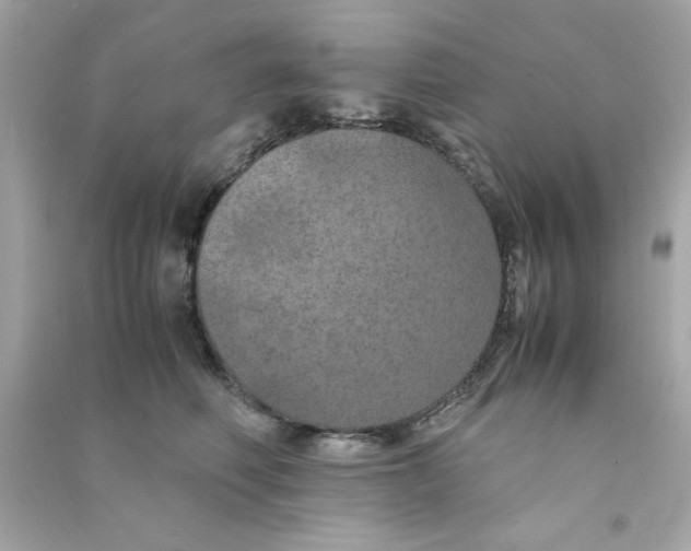 X0000090490614200708102220