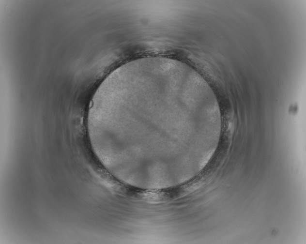 X0000090490615200708102220