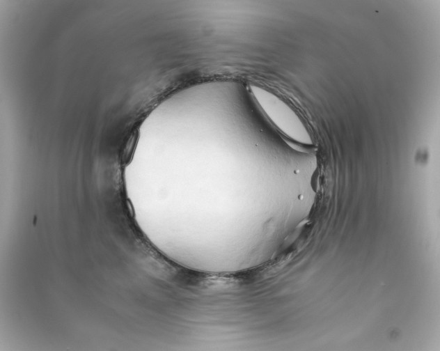 X0000090490617200708102220