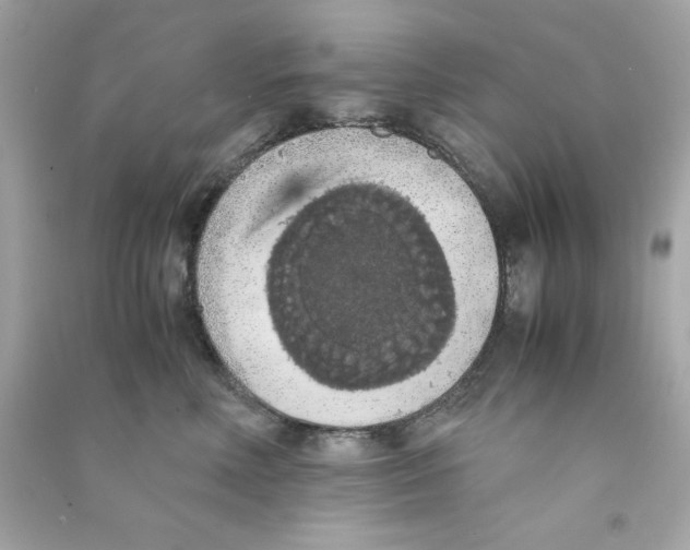 X0000090490618200708102220