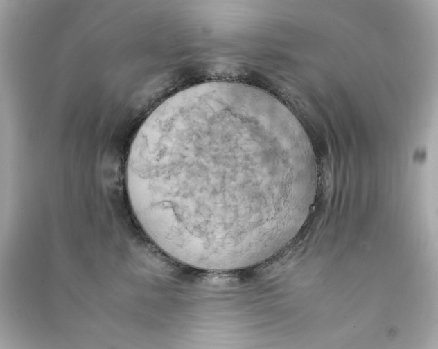 X0000090490619200708102220