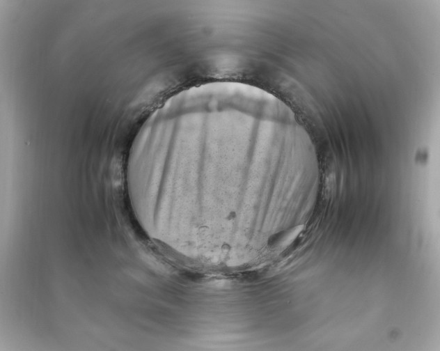 X0000090490620200708102220