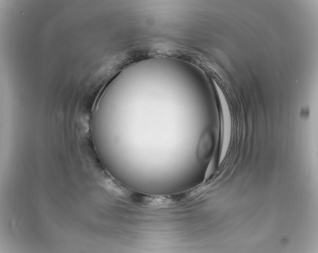 X0000090490621200708102220