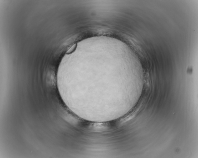 X0000090490622200708102220