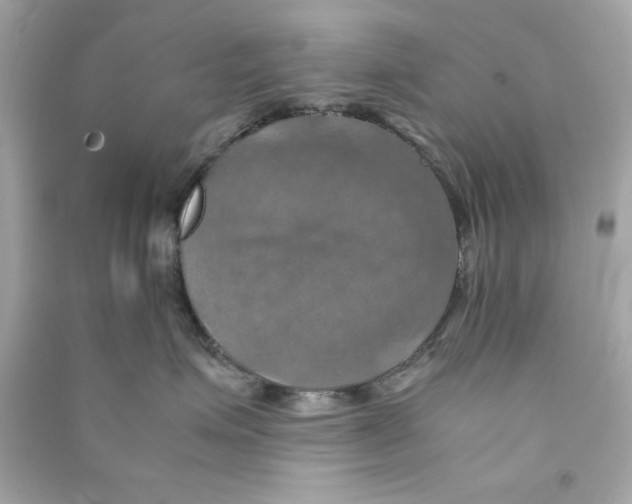 X0000090490623200708102220