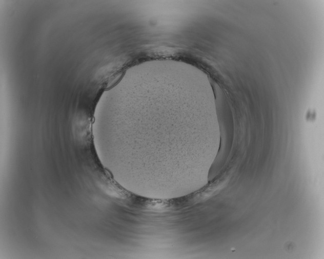 X0000090490624200708102220