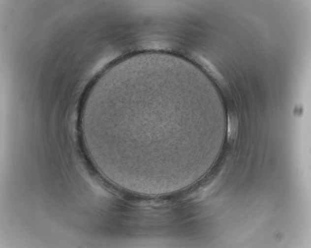 X0000090490627200708102219