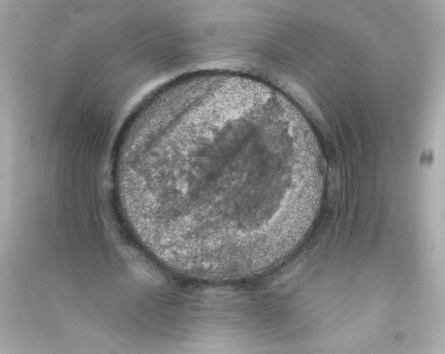 X0000090490628200708102219