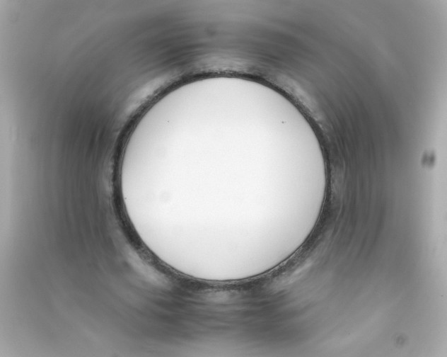 X0000090490629200708102219