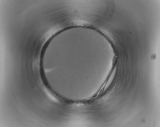 X0000090490630200708102219