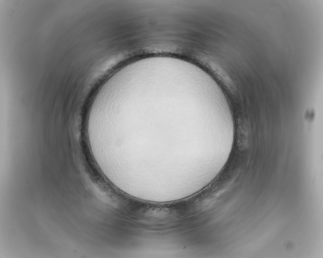 X0000090490631200708102219