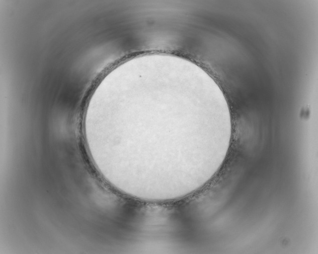 X0000090490632200708102219