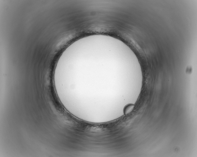 X0000090490635200708102219