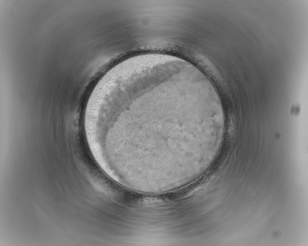 X0000090490636200708102219