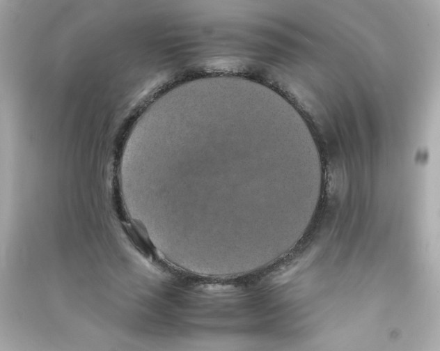 X0000090490637200708102219