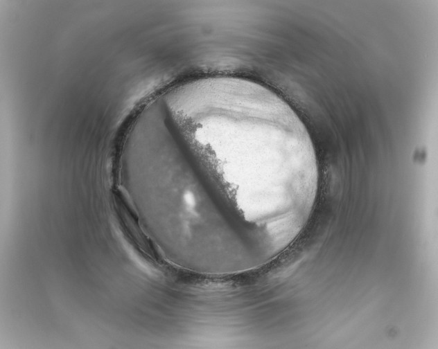 X0000090490638200708102219