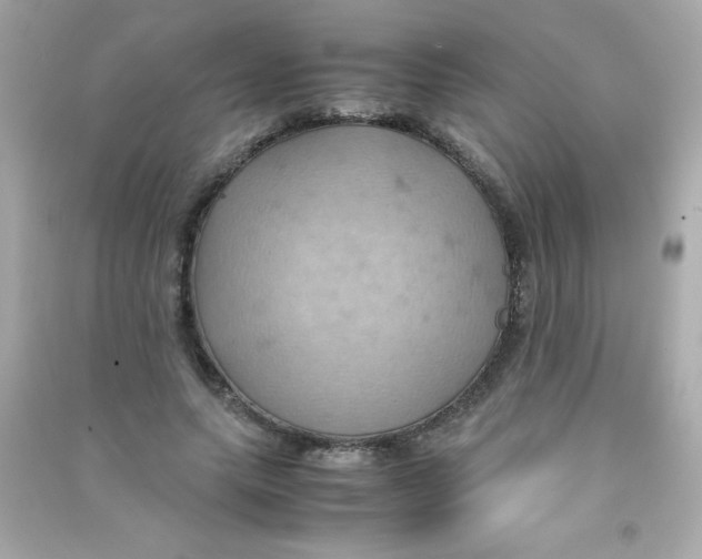 X0000090490639200708102219