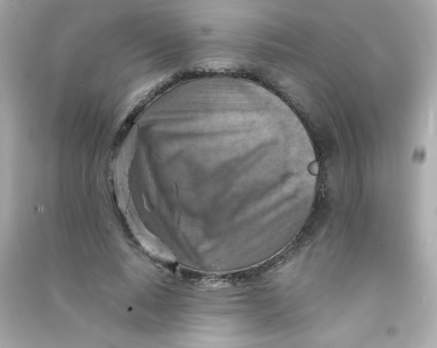 X0000090490640200708102219