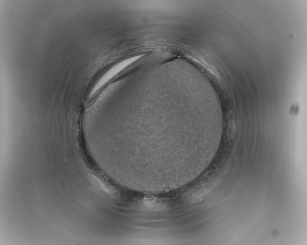 X0000090490641200708102219