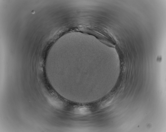 X0000090490643200708102219