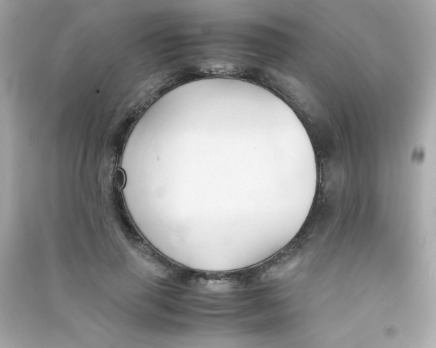 X0000090490645200708102219