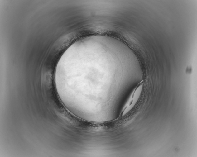 X0000090490646200708102219