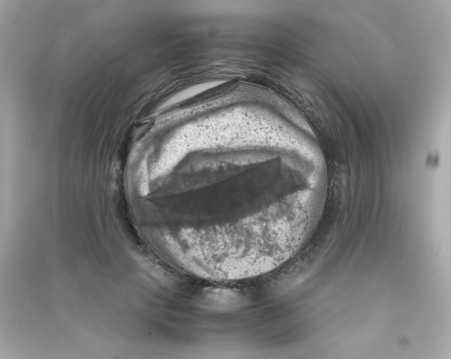 X0000090490649200708102219