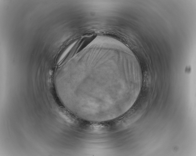 X0000090490650200708102219