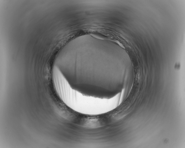 X0000090490651200708102219