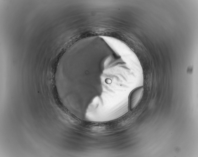 X0000090490653200708102219