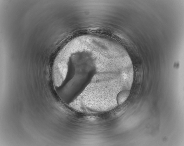 X0000090490654200708102219