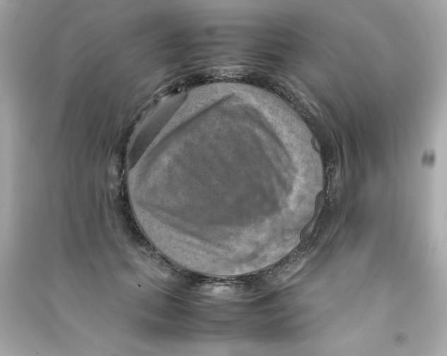 X0000090490655200708102219