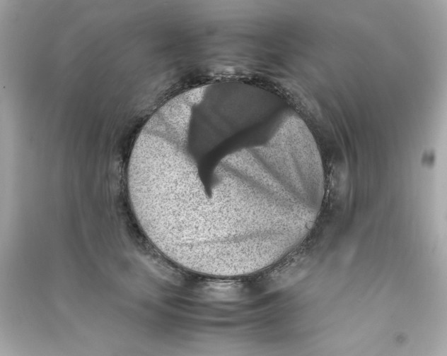 X0000090490659200708102220