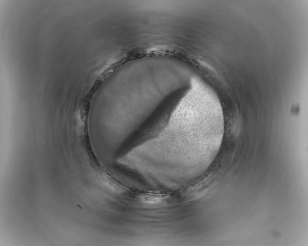 X0000090490661200708102220