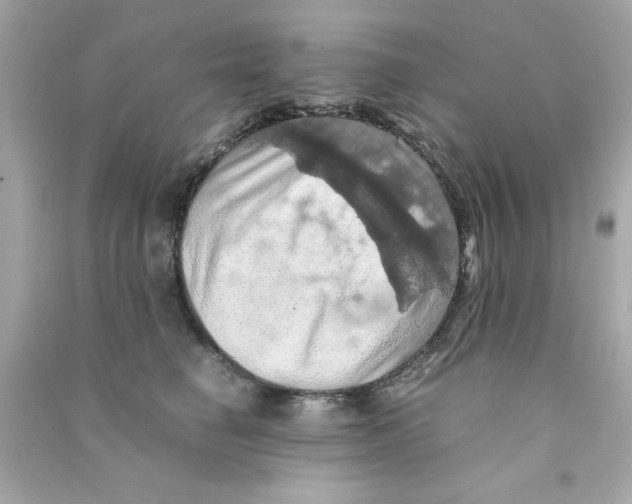 X0000090490662200708102220