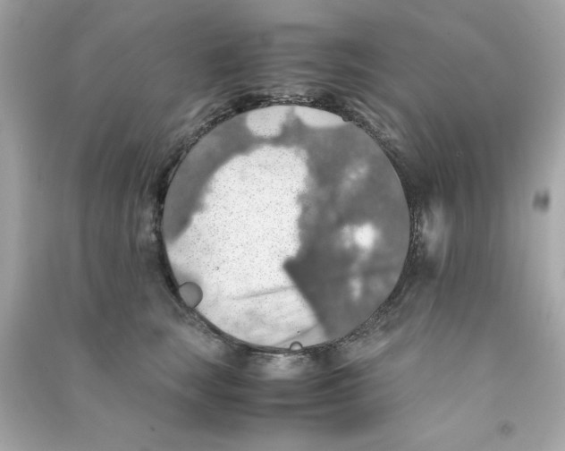 X0000090490663200708102220