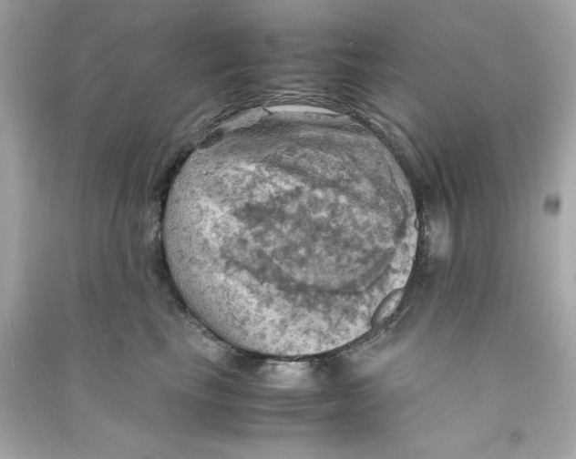 X0000090490665200708102220