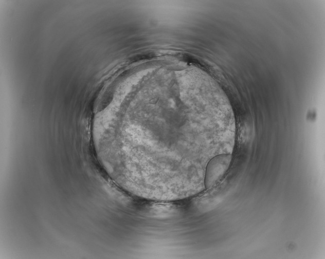 X0000090490666200708102220