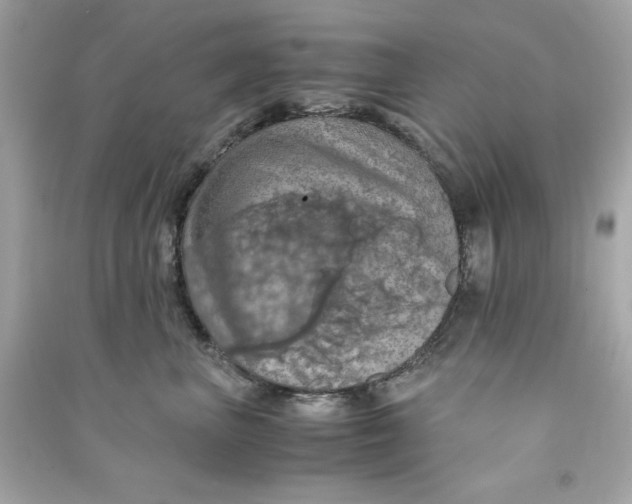 X0000090490667200708102220