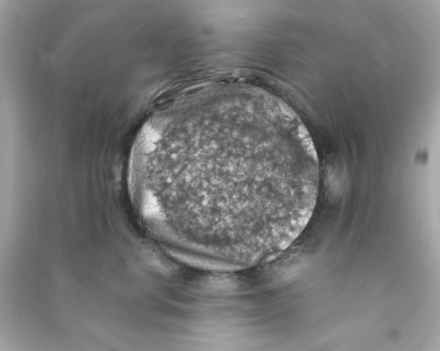 X0000090490668200708102220