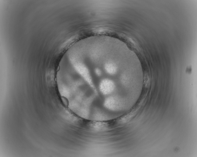 X0000090490670200708102220