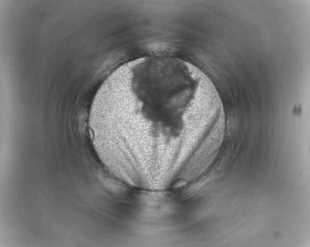 X0000090490671200708102220