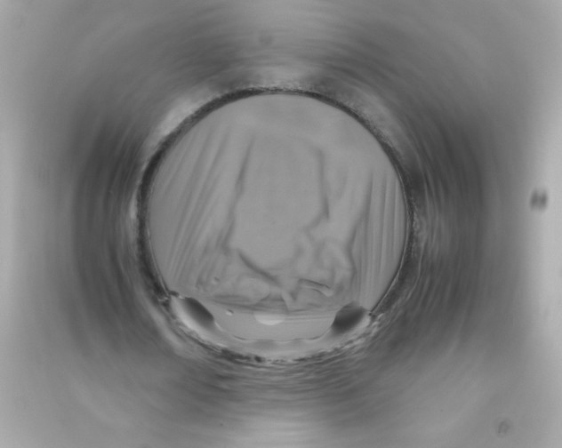 X0000090490674200708102219