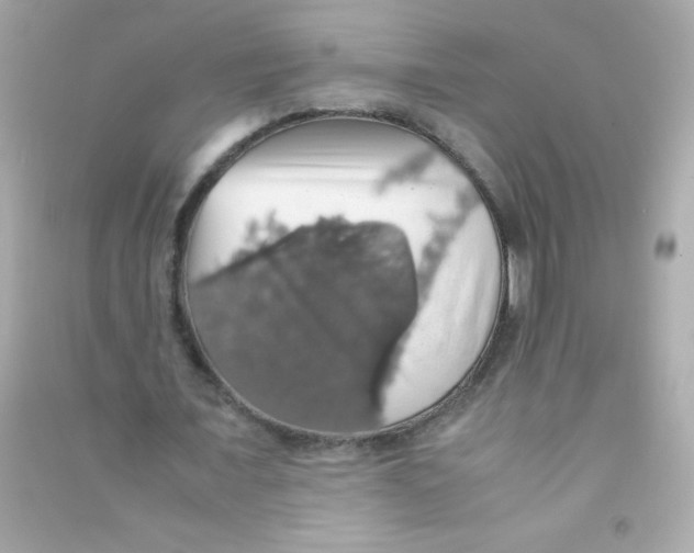 X0000090490675200708102219