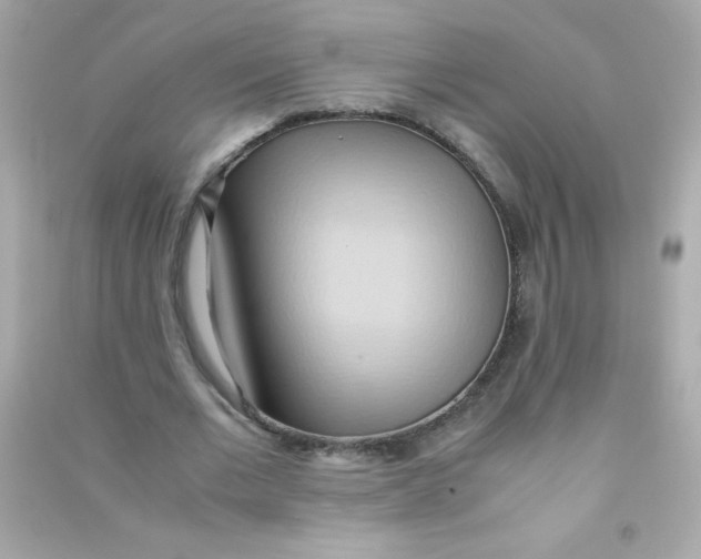 X0000090490677200708102219