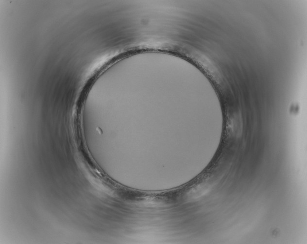 X0000090490678200708102219