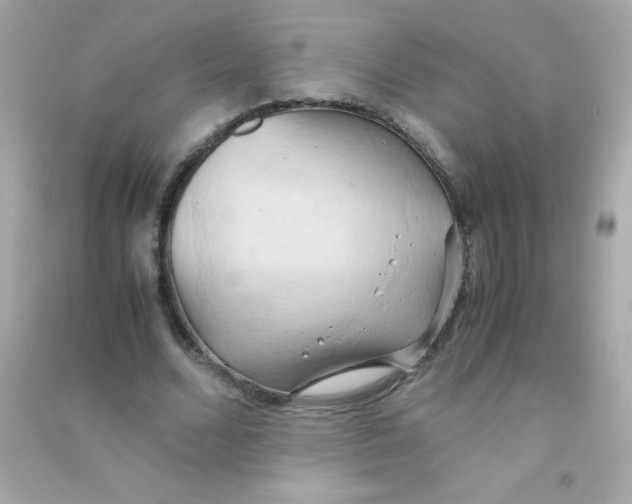 X0000090490680200708102219