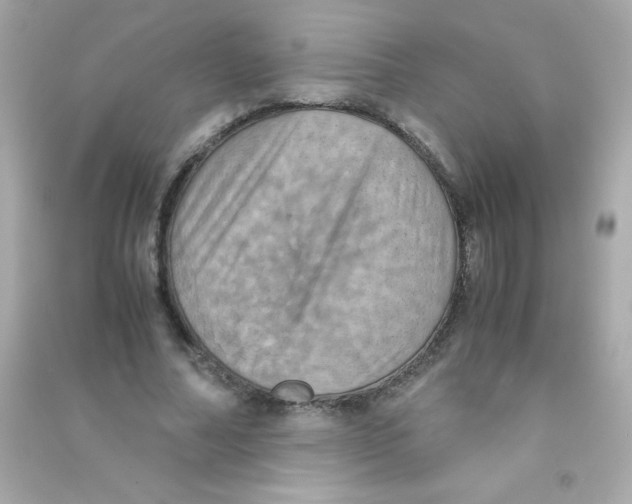 X0000090490682200708102219